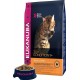 NC Croquette Eukanuba Top Condition Pour Chat Adult Poulet & Foie 10Kg