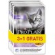 Purina Aliments Pour Chat Pro Plan Junior Dinde