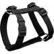 NC Harnais Pour Chien essentiel 50cm Noir