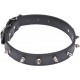 NC Collier Fantaisie Pour Chien pics 55cm Noir