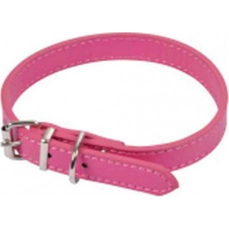 NC Collier Pour Chien design Uni 30cm Fuchsia