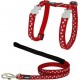 Harnais Pour Chat Red Dingo Style Rouge Étoile Blanc Sangle