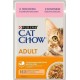 Purina Aliments Pour Chat Saumon