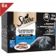 Terrine Classiques Pour Chats 72 Barquettes Coffret Ocã©an 85g (6x12) les 6 boîtes de 6.1Kg