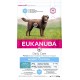 NC Croquette Eukanuba Chien Adult Grandes Races- Weight Control 2,3Kg