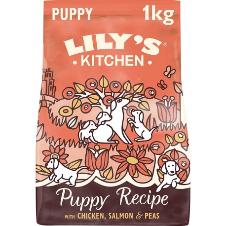 NC Croquette Pour Chiot Lily's Kitchen Poulet Saumon 1Kg