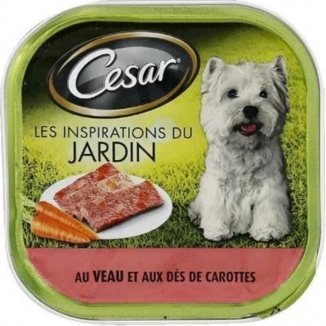 Cesar Barquette En Terrine Au Veau Et Aux Carottes Pour Chien Adulte