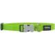 NC Collier Chien Réglable Red Dingo Basic Vert Taille : T2