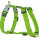 NC Harnais Chien Réglable Red Dingo Basic Vert Taille : T2