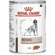 NC Alimentation Humide Royal Canin Hepatic Viande 420g