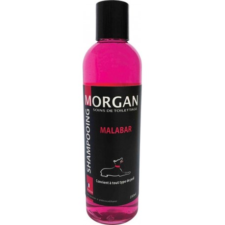 Malabar Shampoing Protéiné Senteur Morgan : 250ml