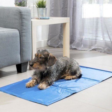 NC Innovagoods Tapis De Refroidissement 90 X 50 Cm Pour Chien