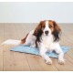 Clair Tapis Rafraîchissant Pour ChiensL 65x50 Cm Bleu Trixie l'unité