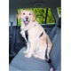 NC Trixie Harnais Pour Voiture Pour Chien