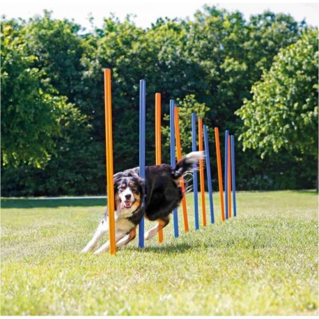 NC Slalom Agility Pour Chien Ø 3 × 115 Cm Trixie