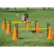 NC Ensemble D'obstacles Fitpaws