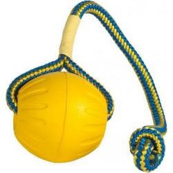 NC Everlasting Swing N Fling Fetch Ball 10x9x32cm