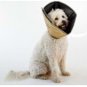NC Collier Animaux De Compagnie Comfy Cone S Long 20cm Brun All Four Paws