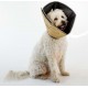 NC Collier Animaux De Compagnie Comfy Cone Xxl 37,5 Cm Brun All Four Paws