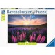 Ravensburger Puzzle 500 P Les Lupins (nature Edition)