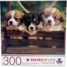 NC Puzzle Chiots 300 pièces le puzzle