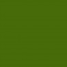 NC Papier Carton Iris 29,7 X 42 Cm Vert Militaire (50 Unités)