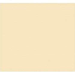 NC Papier Carton Iris Beige 50 X 65 Cm (25 Unités)