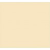 NC Papier Carton Iris Beige 50 X 65 Cm (25 Unités)