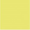NC Papier Carton Iris Kiwi 50 X 65 Cm (25 Unités)
