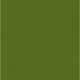 NC Papier Carton Iris Vert Militaire 50 X 65 Cm (25 Unités)