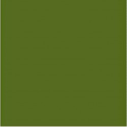 NC Papier Carton Iris Vert Militaire 50 X 65 Cm (25 Unités)