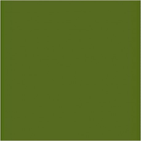 NC Papier Carton Iris Vert Militaire 50 X 65 Cm (25 Unités)