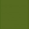 NC Papier Carton Iris Vert Militaire 50 X 65 Cm (25 Unités)