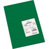 NC Papiers Carton Iris Amazon 29,7 X 42 Cm Vert 185g (50 Unités)
