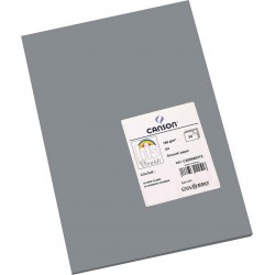 NC Papiers Carton Iris 29,7 X 42 Cm Gris 185g (50 Unités)