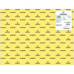 NC Papiers Carton Iris Lemon Jaune 50 X 65 Cm (25 Unités)