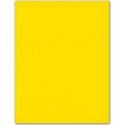 NC Papiers Carton Iris Jaune 185g (50 X 65 Cm) (25 Unités)