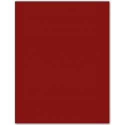 NC Papiers Carton Iris Bordeaux 185g (50 X 65 Cm) (25 Unités)