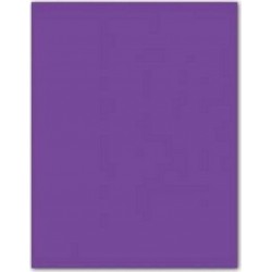 NC Papiers Carton Iris Violet 185g (50 X 65 Cm) (25 Unités)