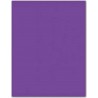 NC Papiers Carton Iris Violet 185g (50 X 65 Cm) (25 Unités)