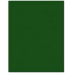 Papiers Carton Iris 185 G Vert Foncé (50 X 65 Cm) (25 Unités)