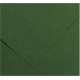 NC Papiers Carton Iris Amazon Vert 185 G 50 X 65 Cm (25 Unités)