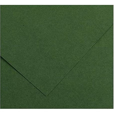 NC Papiers Carton Iris Amazon Vert 185 G 50 X 65 Cm (25 Unités)