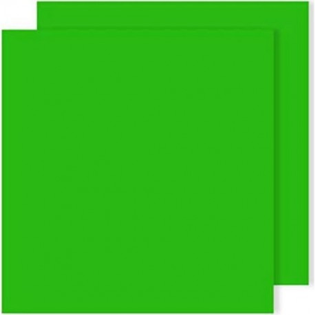 NC Papiers Carton Iris Vert 50 X 65 Cm (25 Unités)