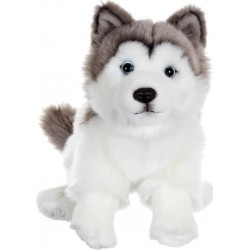 NC Peluche Chien Husky - Assis, 25 Cm