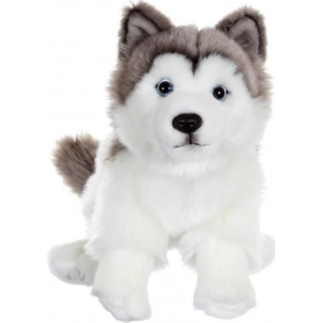 NC Peluche Chien Husky - Assis, 25 Cm