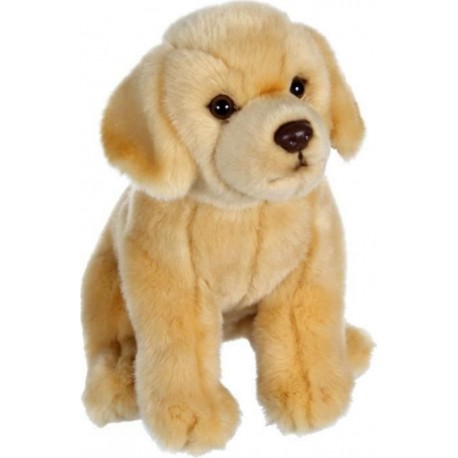 NC Peluche Chien Labrador Beige - Assis, 25 Cm