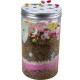 NC Realise Ton Terrarium Fundoo