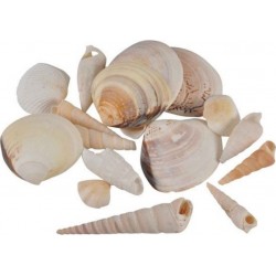 NC Assortiment De Coquillages shellfish 100g Naturel