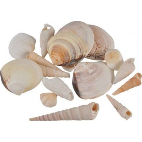 NC Assortiment De Coquillages shellfish 100g Naturel